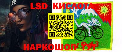 мдпв Камышлов