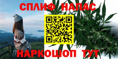 гидра Ипатово