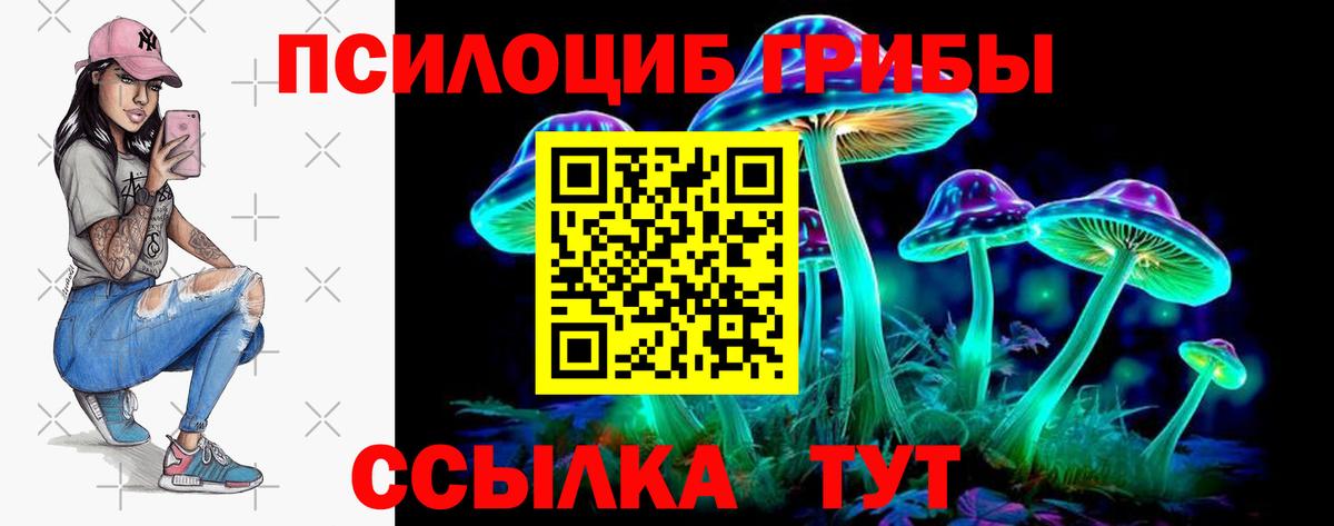 Псилоцибиновые грибы прущие грибы  Вход с VPN  продажа наркотиков  Мурманск 